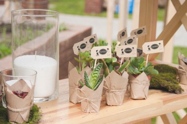 Wedding decorative plants clipart