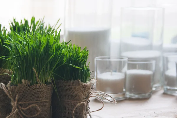 Table decor and green plants