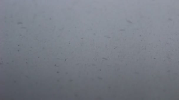 Tempo de neve lapso — Vídeo de Stock