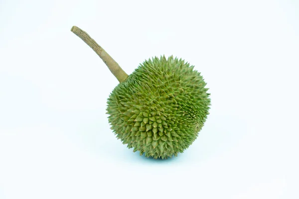 Durian Månadsfrukt Färsk Isolerad Vit Bakgrund Och Klippning Väg Vetenskapens — Stockfoto