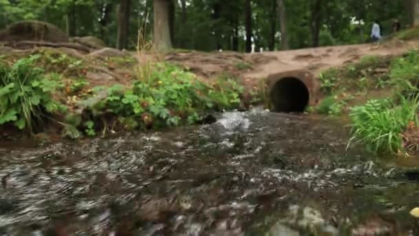 L'eau coule d'une gouttière dans une baie dans un parc national — Video