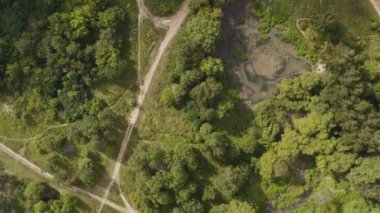 İHA 'lar yeşil ormanı patika ve uzun yollarla vuruyor. Yukarı bak.