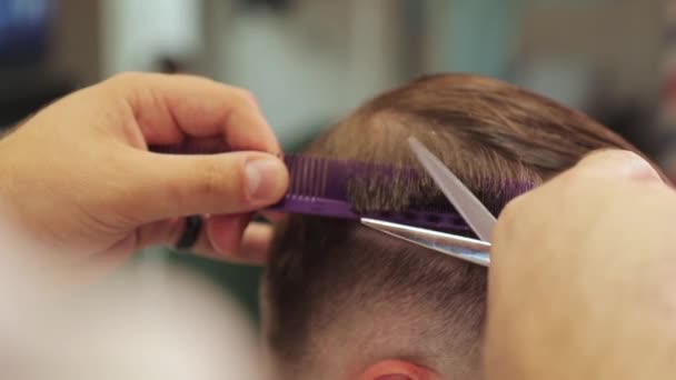 Mani di barbiere taglia i capelli di un uomo con forbici e pettine viola. Da vicino. — Video Stock