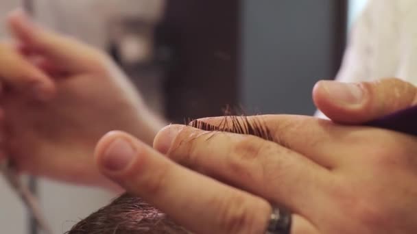 Mains de barbier coupe les cheveux d'un homme avec des ciseaux et peigne violet. Gros plan — Video