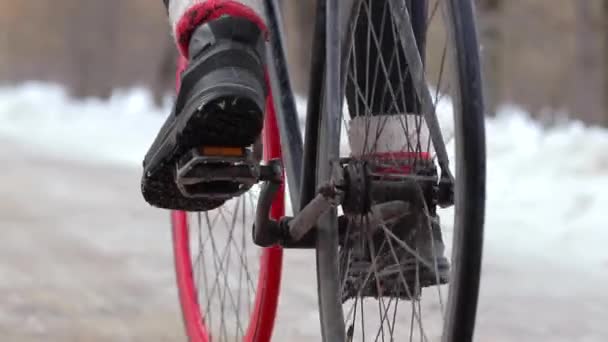 Cyclist legs pedalling a bicycle in winter in the park — Stock Video