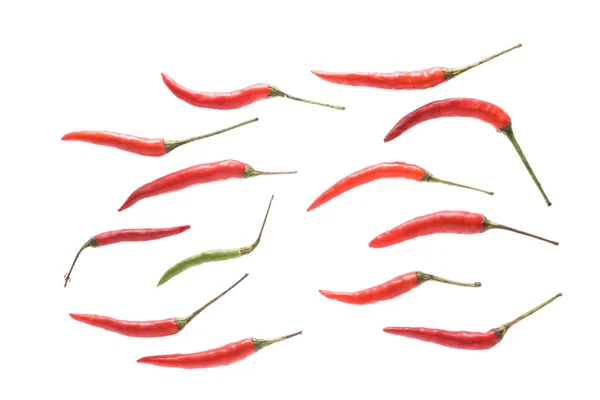 Chili rojo aislado sobre fondo blanco — Foto de Stock