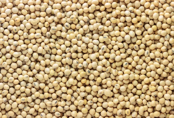 Close up dry soy bean as background. — Stock Photo, Image