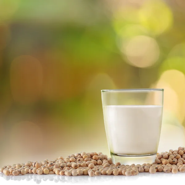 Glass of soy milk and soybean in garden background. — Stock Photo, Image