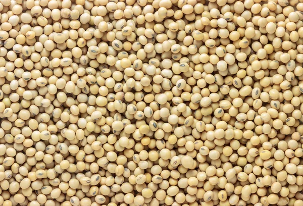 Close up dry soy bean as background. Royalty Free Stock Photos