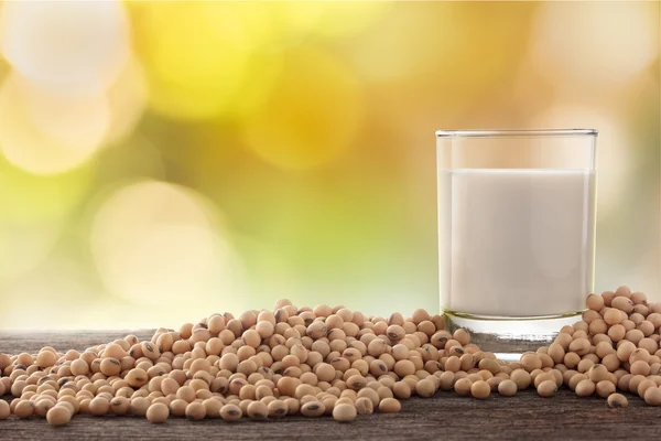 Vaso de leche de soja y soja en el fondo del jardín . Imagen De Stock