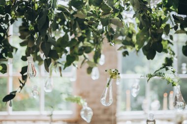 Kompozisyon yeşillik ve cam ampul