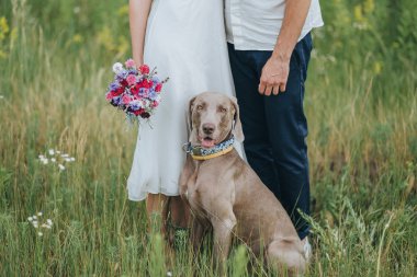 Çift ve av köpeği alanındaki