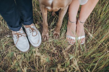 Çift ve av köpeği alanındaki