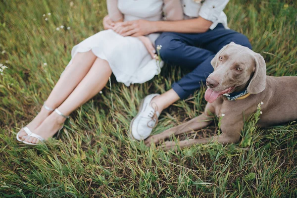 Pasangan dan berburu anjing di lapangan — Stok Foto