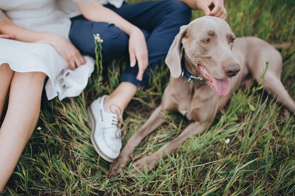 Çift ve av köpeği alanındaki