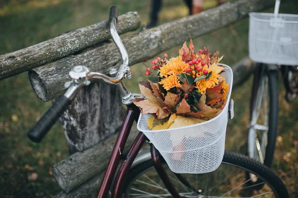 Buquê de outono na cesta na bicicleta — Fotografia de Stock