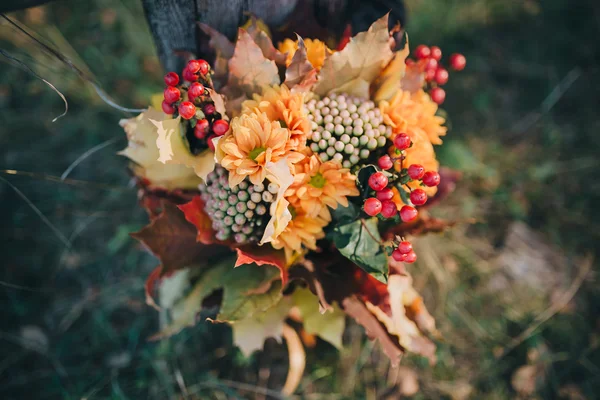 Ramo de otoño de bayas y hojas — Foto de Stock