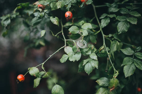 緑の葉の結婚指輪 — ストック写真