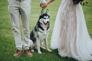 Gelin ve damat ile köpek ayakta