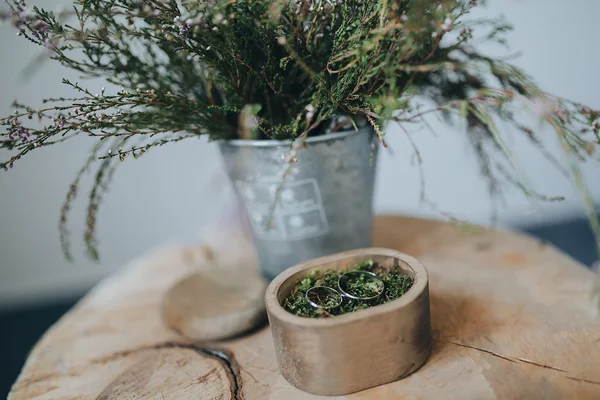 Caja con musgo y anillos de boda —  Fotos de Stock