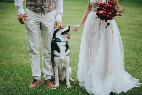 Noiva e noivo de pé com cão — Fotografia de Stock