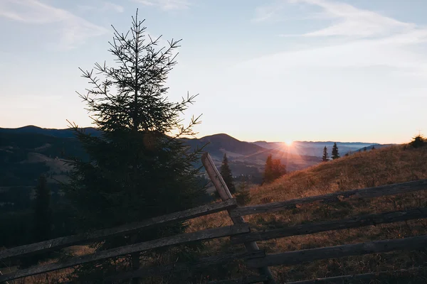 Hermoso paisaje otoñal en los Cárpatos —  Fotos de Stock