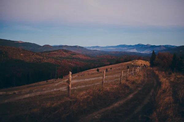 Hermoso paisaje otoñal en los Cárpatos —  Fotos de Stock