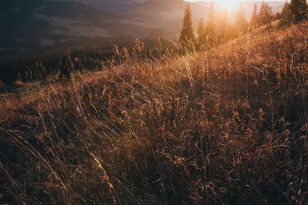 Beautiful Autumn Landscape in Carpathians — Stock Photo, Image