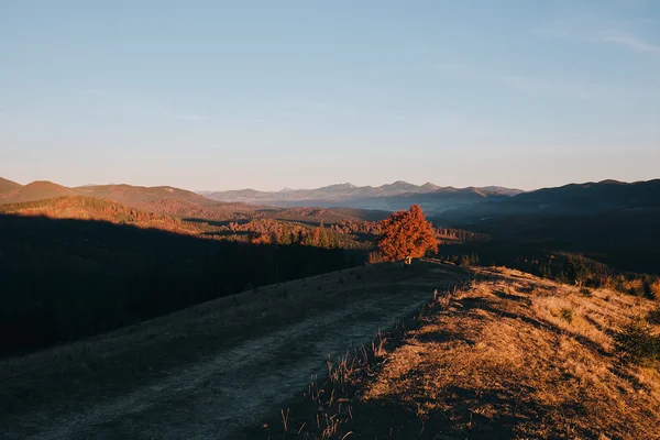 Beau paysage d'automne dans les Carpates — Photo