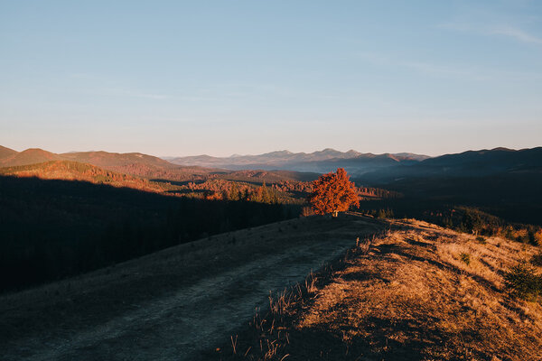 Beautiful Autumn Landscape in Carpathians