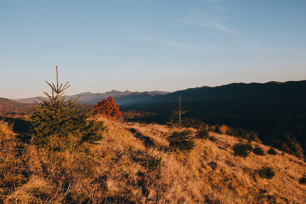 Beautiful Autumn Landscape in Carpathians