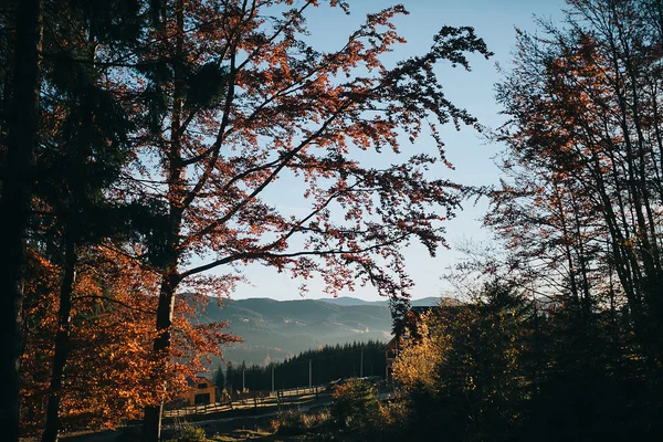 Piękny krajobraz jesień w Karpatach — Zdjęcie stockowe