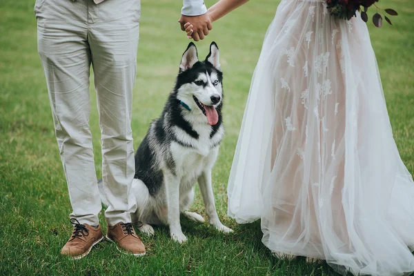 Bride and groom standing with dog Stock Picture