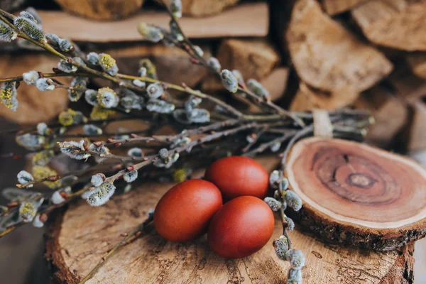 Ovos de Páscoa com ramos de salgueiro — Fotografia de Stock