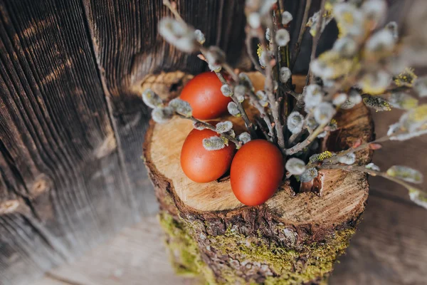 Telur Paskah dengan cabang pohon willow — Stok Foto