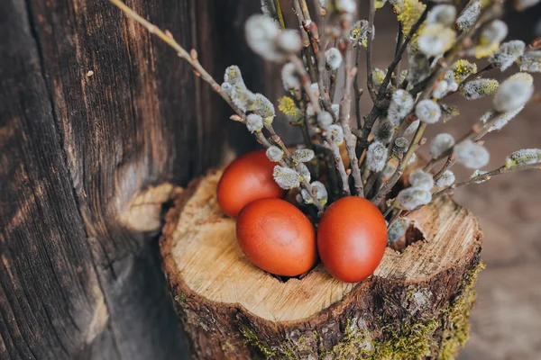 Easter eggs with branches of willow — Stock Photo, Image