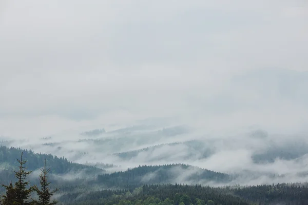 Berggipfel liegen in den Wolken — Stockfoto