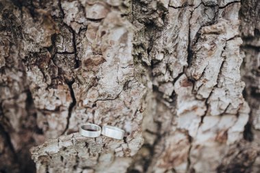 Alyans damat ve gelin