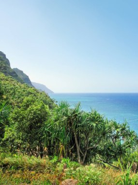 Kalalau patikası ve Pasifik Okyanusu Kuzey Kauai