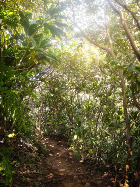 Kalalau Yolu, Kuzey Kauai