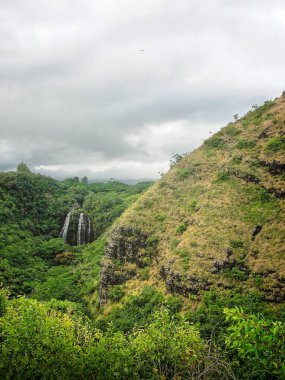 Kauai şelalesinin doğu kıyısında süzülüyor.