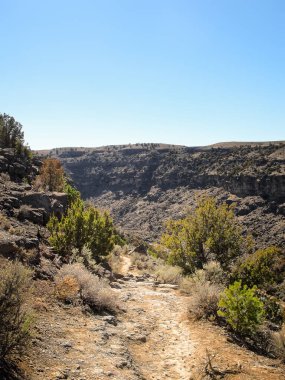 Rio Grande boyunca Los Ojos 'un dışında New Mexico
