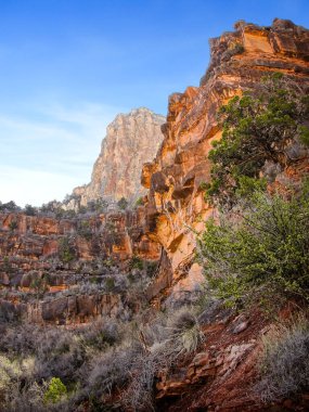 Flora ve jeoloji Büyük Kanyon, Arizona boyunca uzanır.