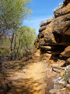 Kışın sonlarında, Arizona 'daki Büyük Kanyon' da, Angel 's Rest yolunda.