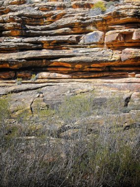Kışın sonlarında, Arizona 'daki Büyük Kanyon' da, Angel 's Rest yolunda.