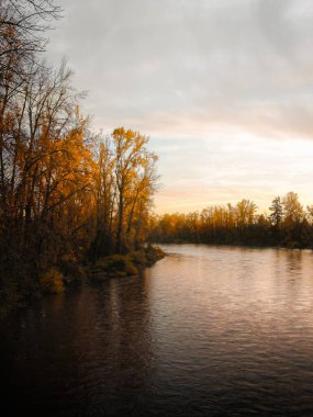 Eugene, Oregon dışındaki Willamette Nehri boyunca günbatımı ve sonbahar yaprakları.