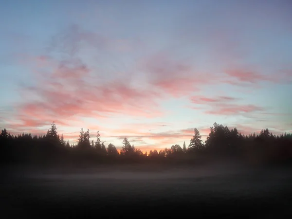 Осенний Рассвет Орегонском Лесу — стоковое фото