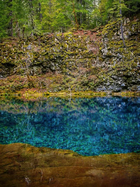 Vroeg Voorjaar Langs Tamolich Trail Naar Blue Pool Oregon Cascades — Stockfoto