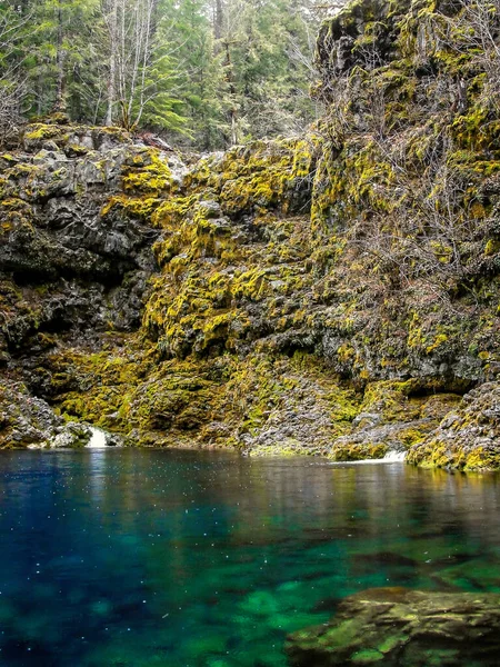 Début Printemps Long Sentier Tamolich Jusqu Blue Pool Oregon Cascades — Photo
