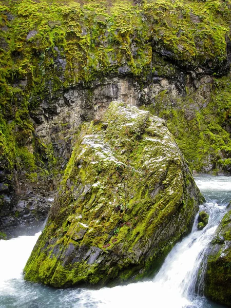 Bevroren Winterdag Langs Hills Creek Western Cascades Oregon — Stockfoto